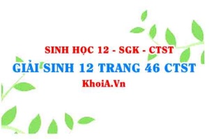 Giải Sinh 12 trang 46 Chân trời Sáng tạo